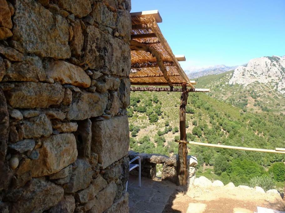 Les Bergeries "Le Figuier" Hotel Omessa Exterior photo