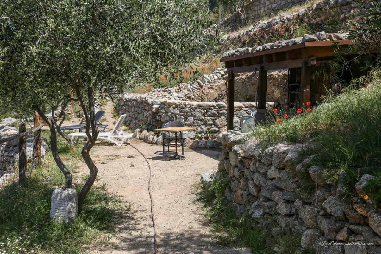 Les Bergeries "Le Figuier" Hotel Omessa Exterior photo